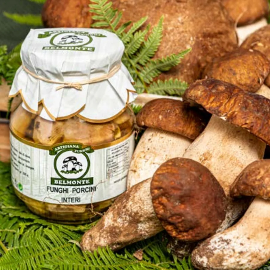 Funghi porcini sott'olio